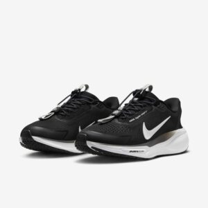 Nike Pegasus EasyOn Black Anthracite women running shoes
