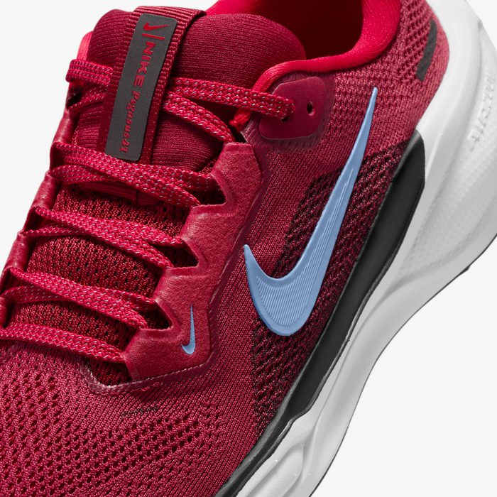 Nike Pegasus 41 Team Red Kids' Running Shoess FN5041-602
