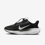 Nike Pegasus EasyOn Black Anthracite